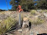  Naropa Tract - Photo 20