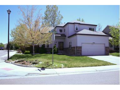 9802 Wallace Court, Highlands Ranch, CO 80126 (#1085955) :: The Peak Properties Group