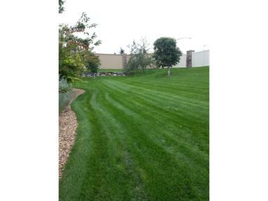 11246 Osage Circle E, Westminster, CO 80234 (#1119437) :: The Peak Properties Group