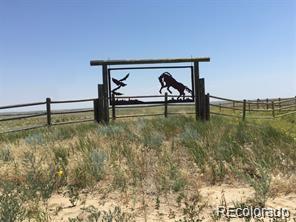 0000 County Road 178 & 53 Lot 5 - Photo 1