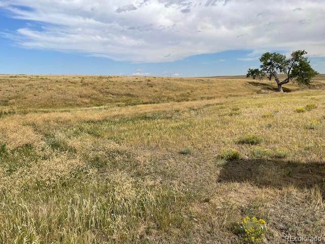 Rolling Vista Trail - Photo 1