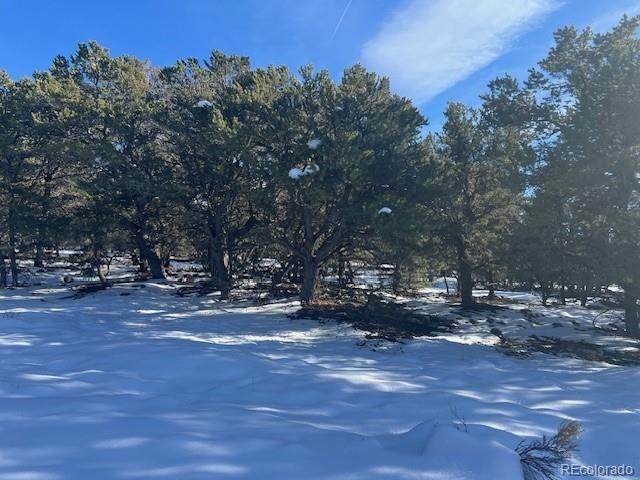 3952 Cheerful Place - Photo 1