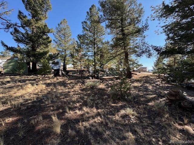 186 Lantern Loop - Photo 1