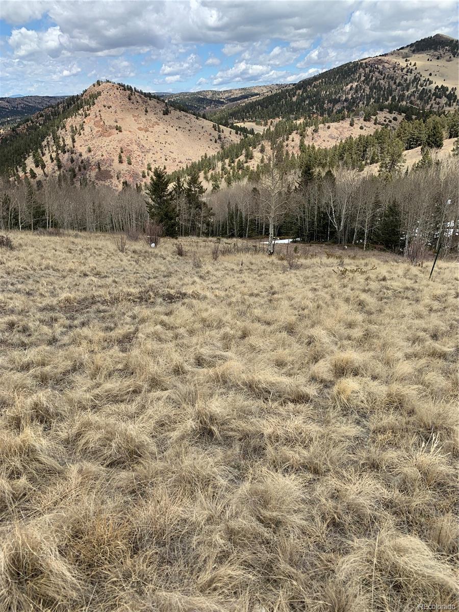 2250 County Road 1 - Photo 1