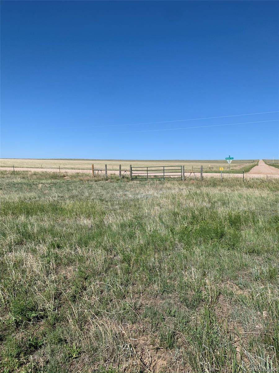 336 Ramah Highway - Photo 1