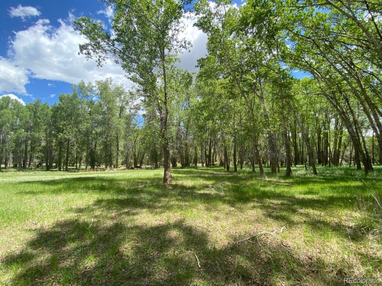 217 Tomkins Lane - Photo 1