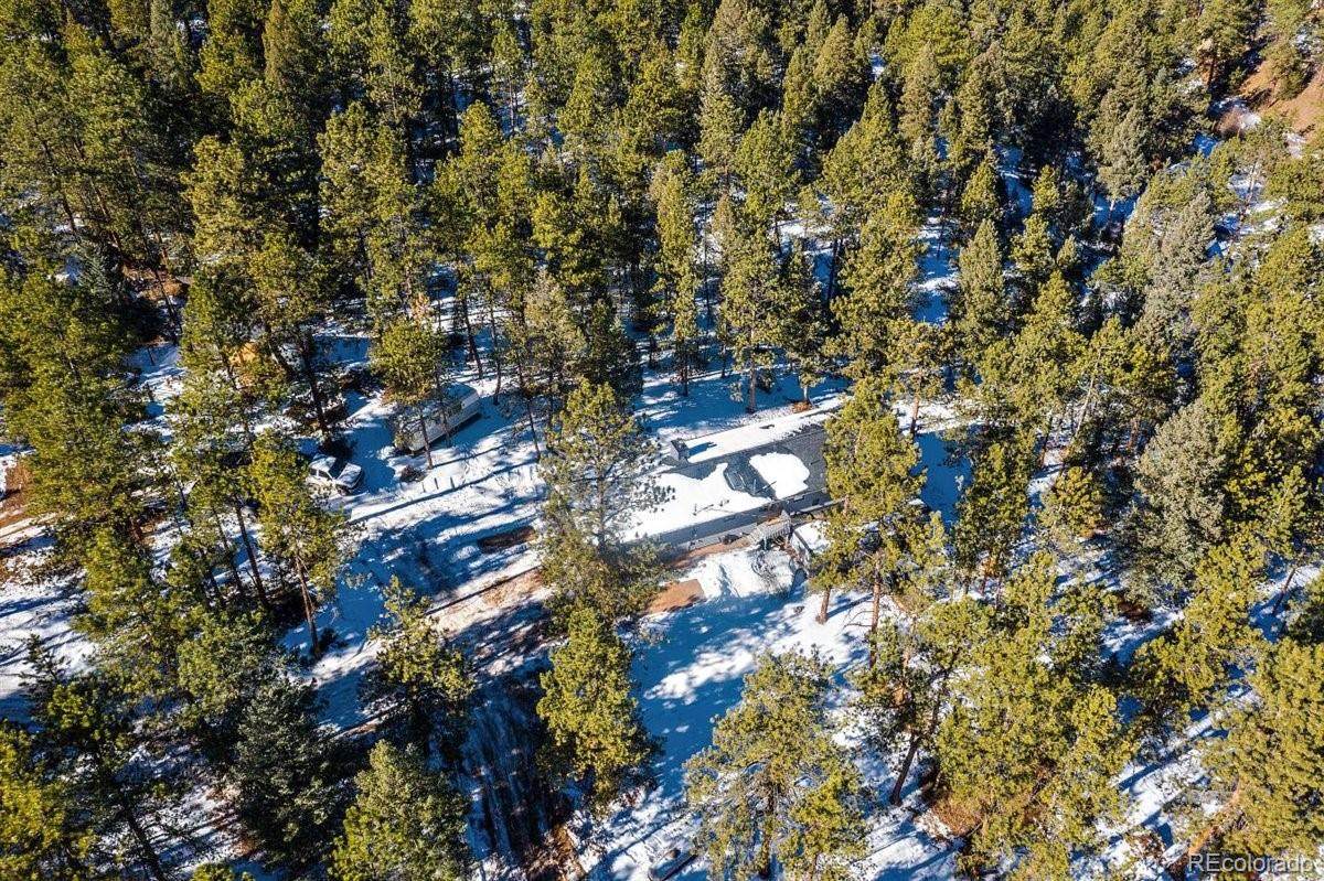 1172 Cinnamon Bear Road - Photo 1