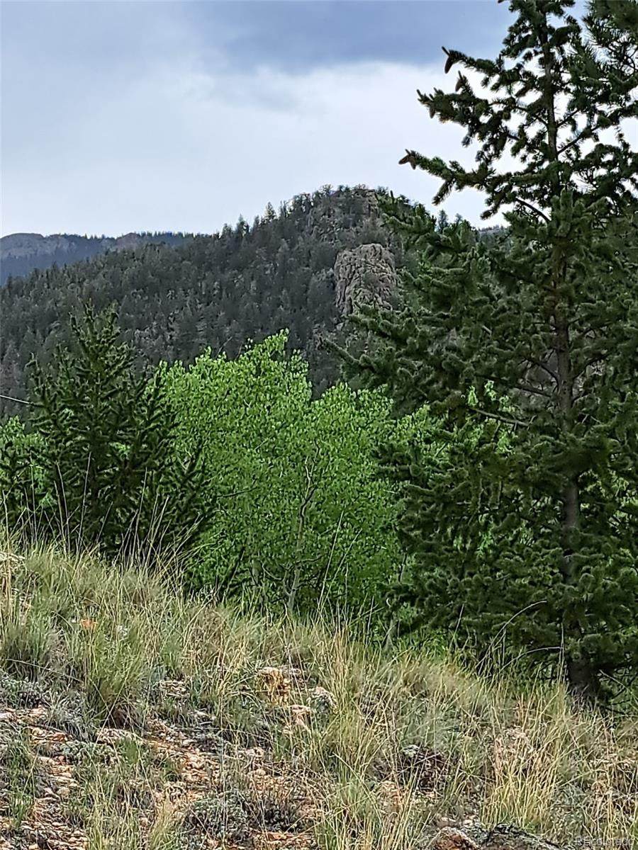 639 Spade Place - Photo 1