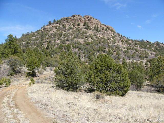 Aspen Trail - Photo 1
