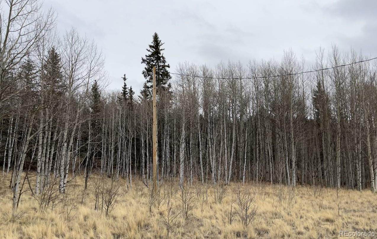 688 Ouray Trail - Photo 1