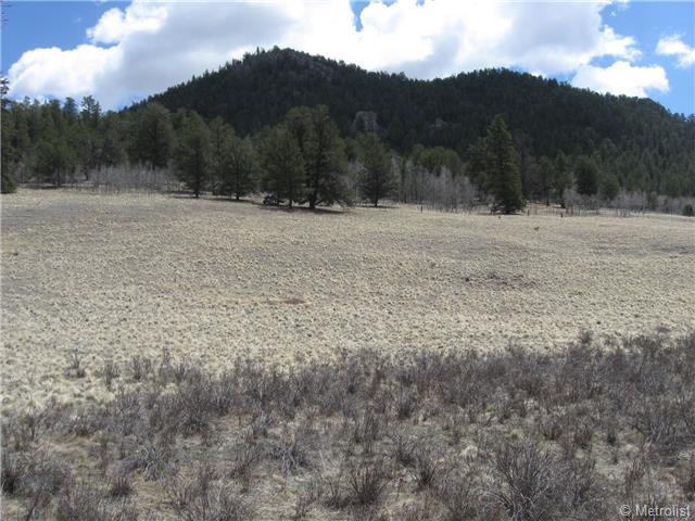 1188 Ouray Trail - Photo 1