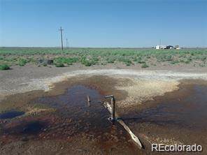  Kaulinite Place - Photo 1