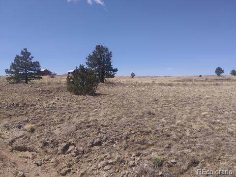 191 Crystal Falls Drive - Photo 1