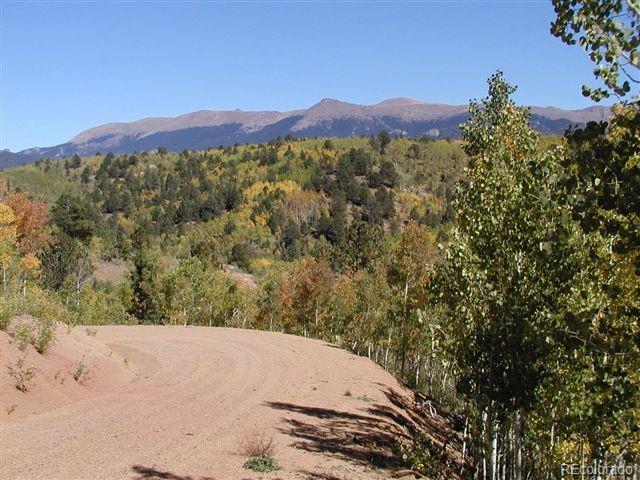 Tbd Climax Drive - Photo 1