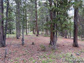 3 Paiute Road - Photo 1