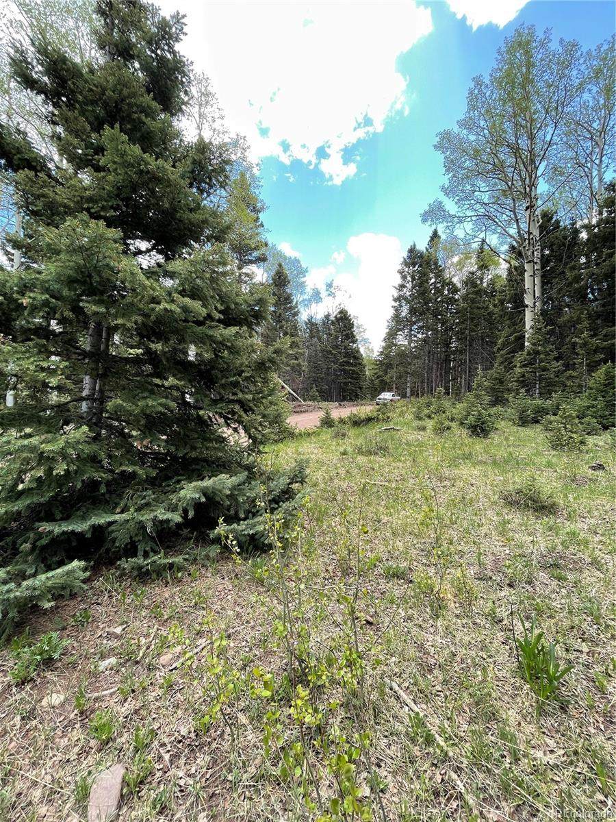 3372 Henderson Drive - Photo 1