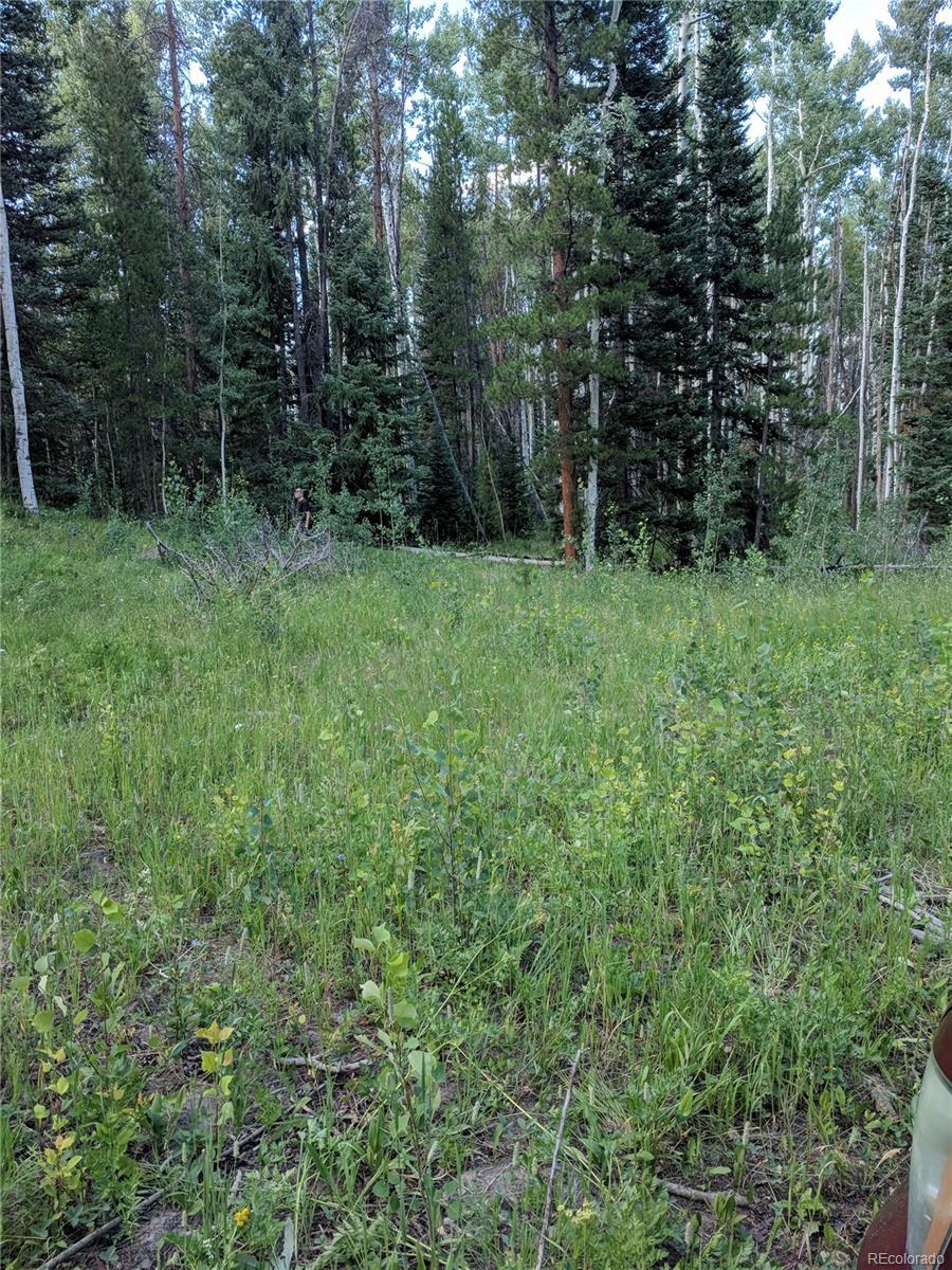 20331 King Bolt Way - Photo 1
