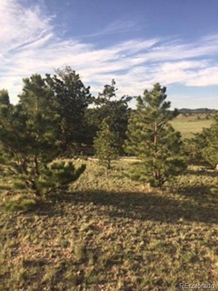 0 Running Bear Road - Photo 1