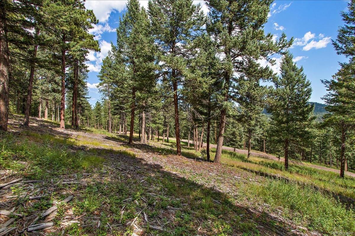 7313 Plowsher Way - Photo 1