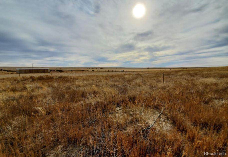 37900 County Road 153 - Photo 1