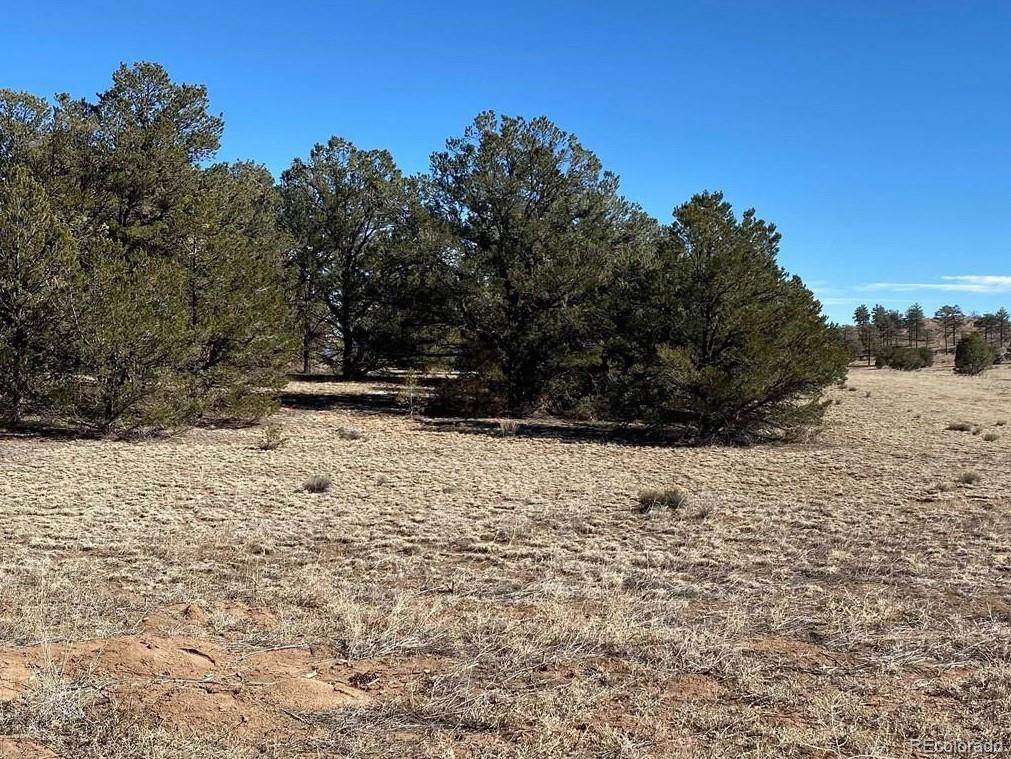 1587 22nd Trail - Photo 1