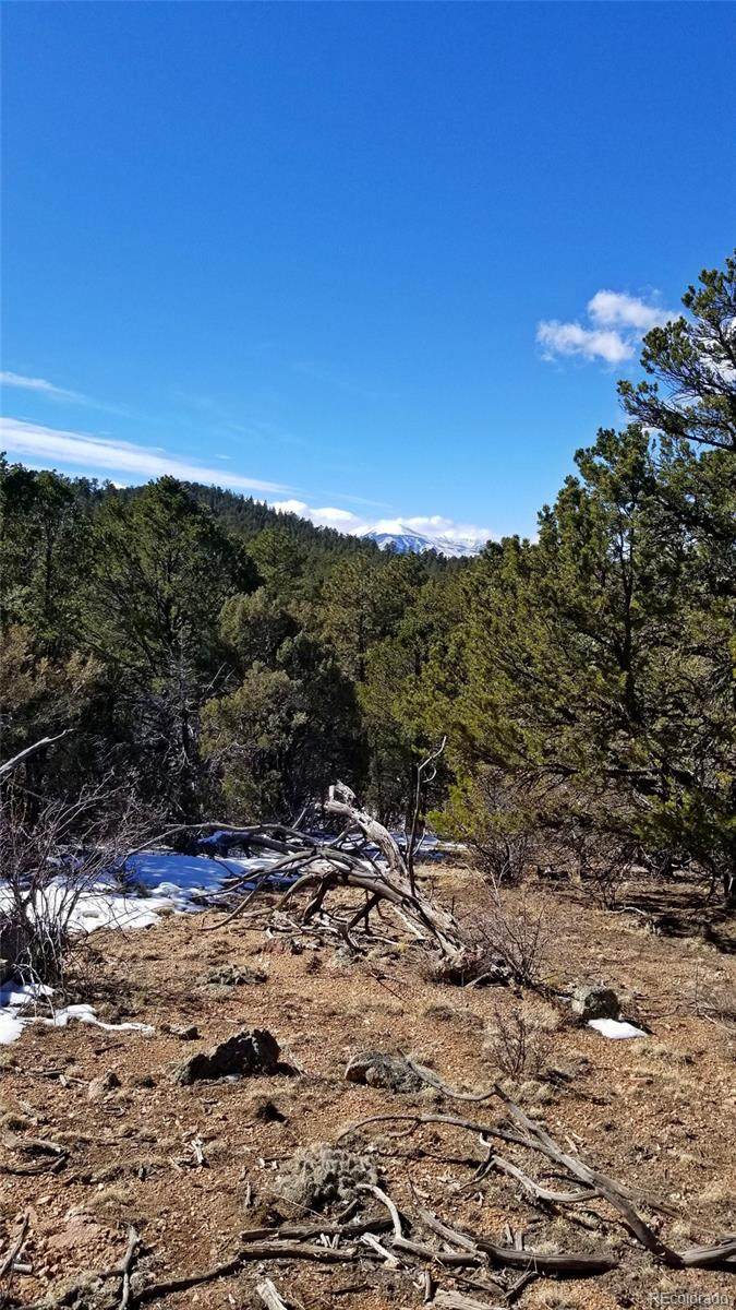2806 Indian Wells Road - Photo 1