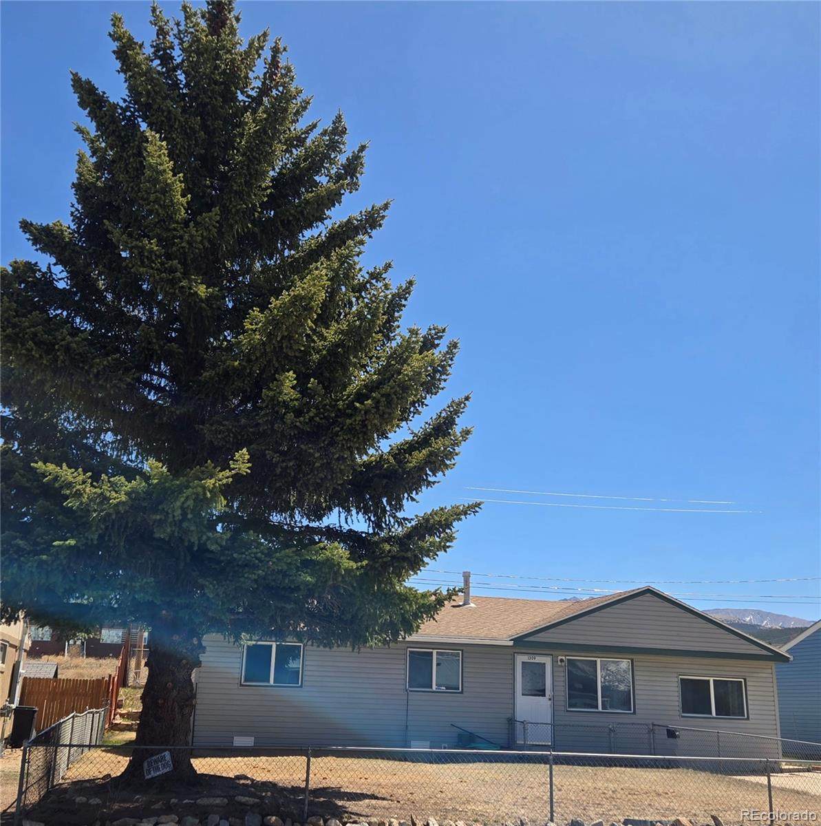 1309 Mount Elbert Drive - Photo 1