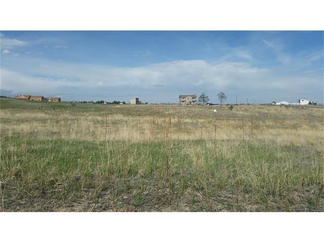 11675 Sir Galahad Drive - Photo 1