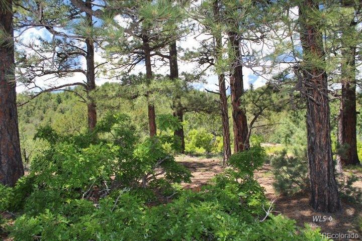 Unassign Beulah Highland Road - Photo 1