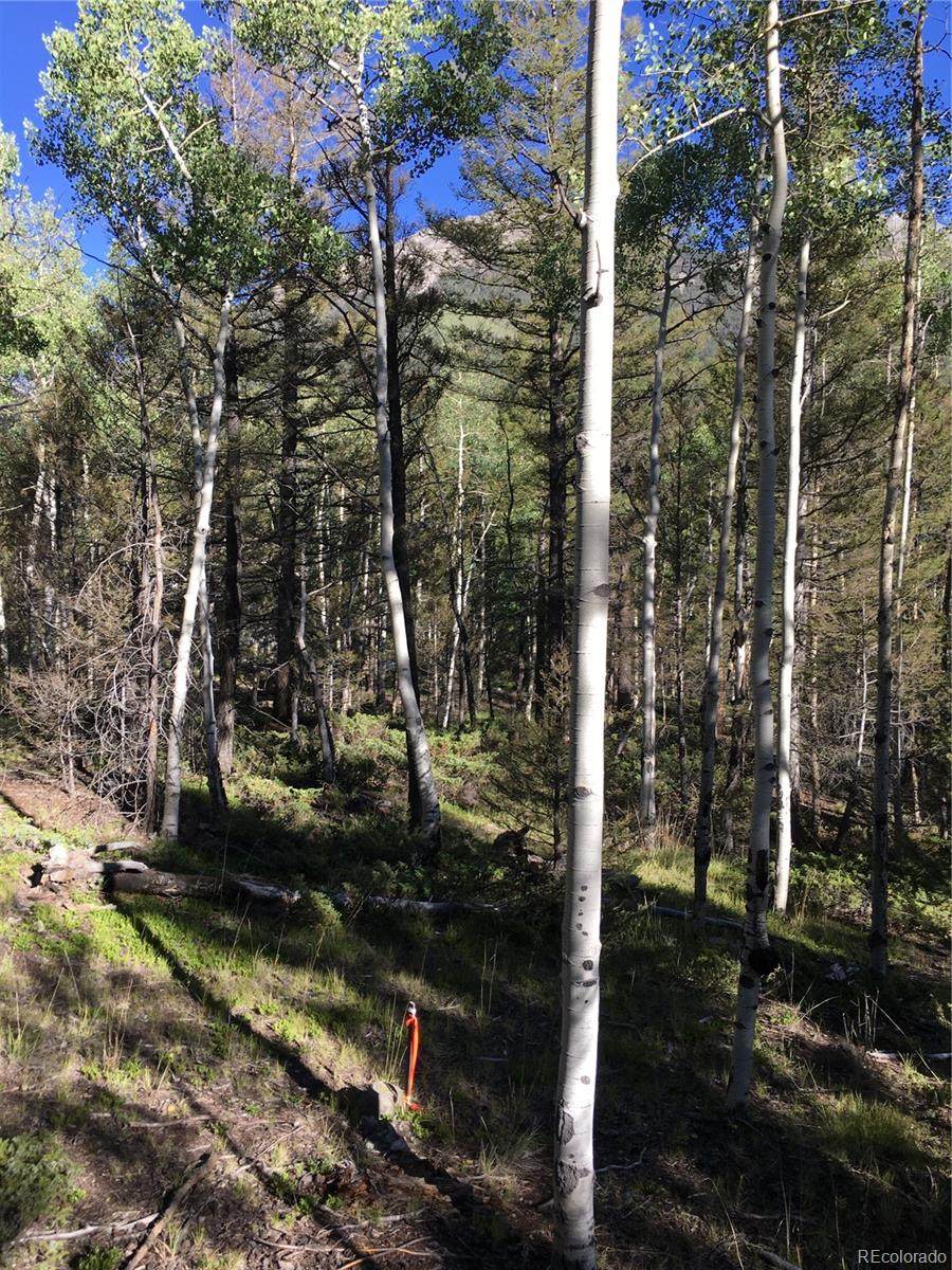 Tbd County Road 292 A - Photo 1