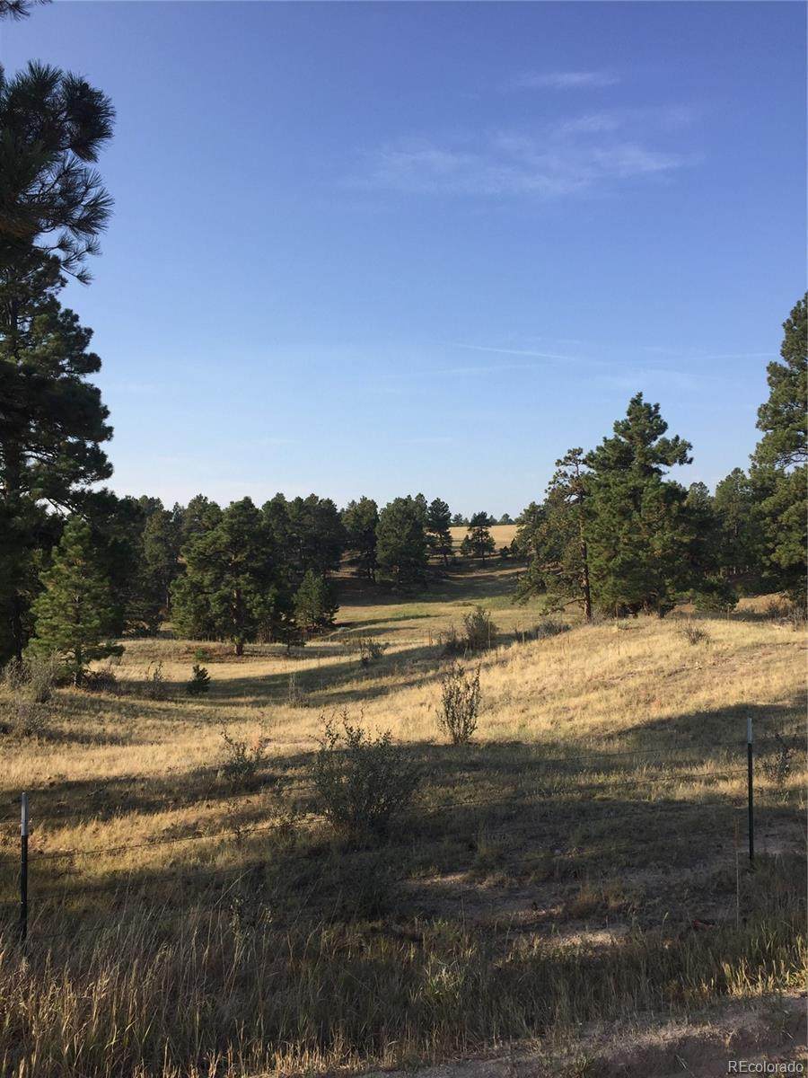 6206 County Rd 102 Road - Photo 1