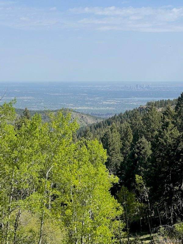 12272 Maxwell Hill Road - Photo 1