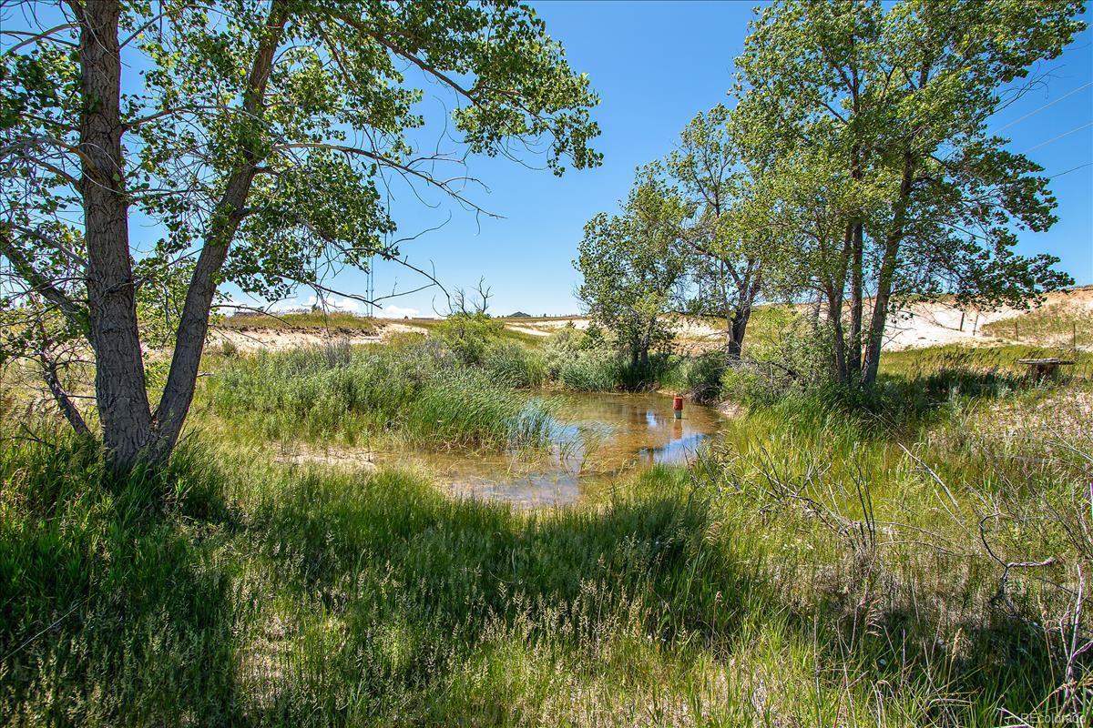 38233 County Road 5 Road - Photo 1