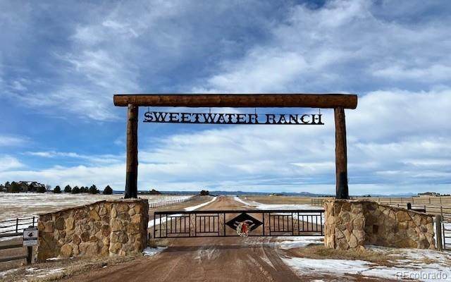 10555 Big Sky Trail - Photo 1