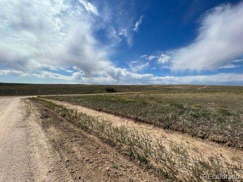 41111 Comanche Creek Road - Photo 1