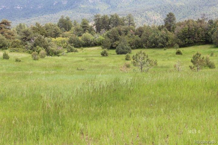 Not Yet Ad Beulah Highlands Road - Photo 1