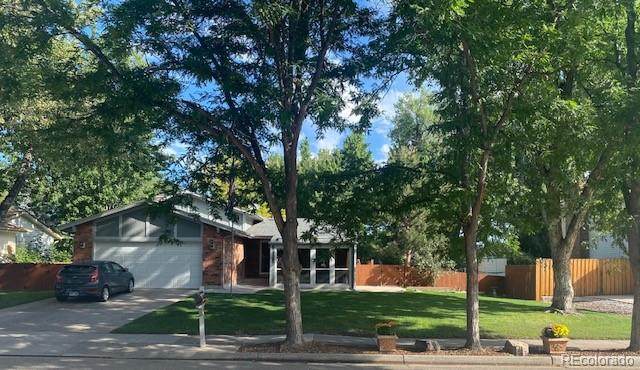 9185 74th Avenue - Photo 1