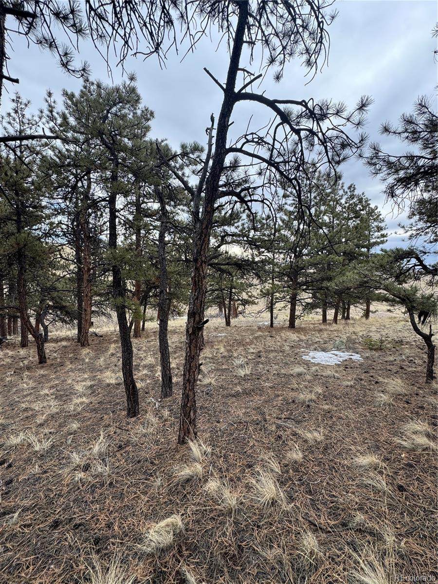 203 Loft Way - Photo 1