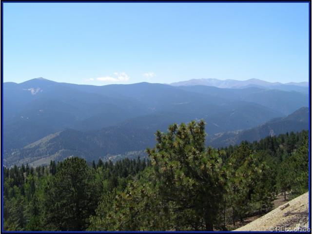 Miner Candle Road, Idaho Springs, CO 80452 (MLS #3945759) :: 8z Real Estate