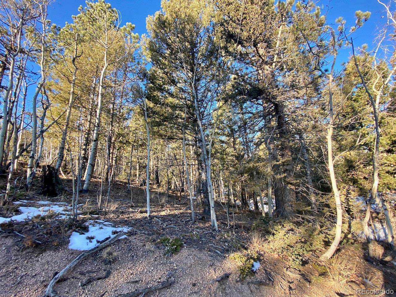 17 & 9 Methow Lane - Photo 1