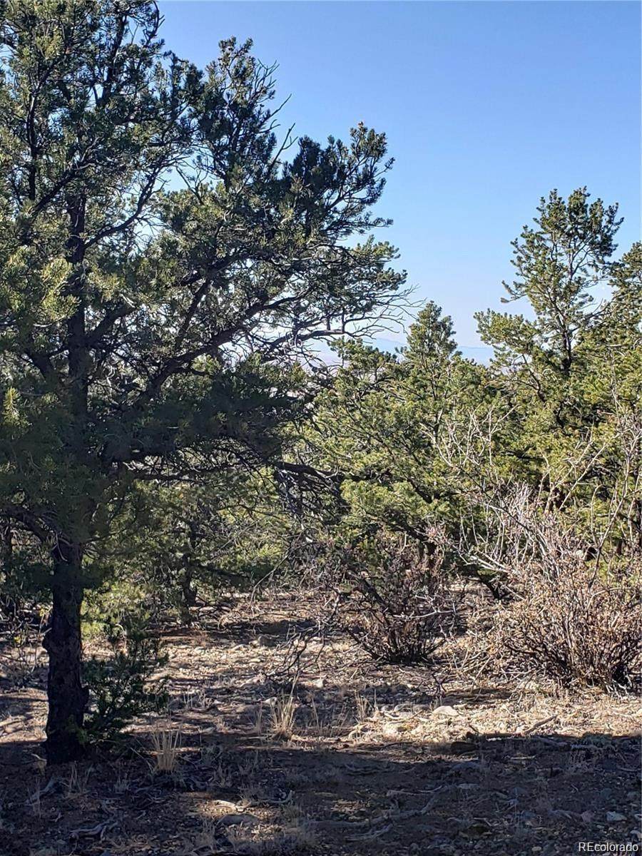 150/152 Lake Of The Falls Parkway - Photo 1