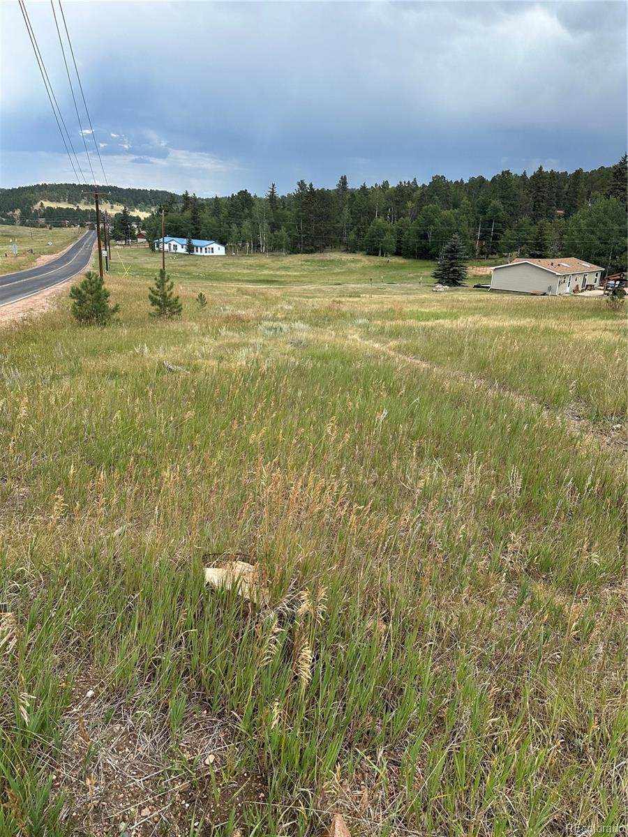 17 and 33 Deer Ridge Trail - Photo 1