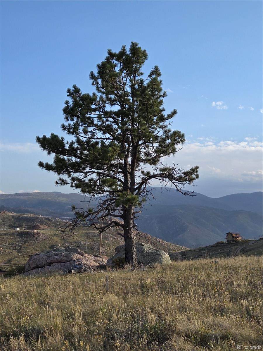 443 Meadow Mountain Drive - Photo 1