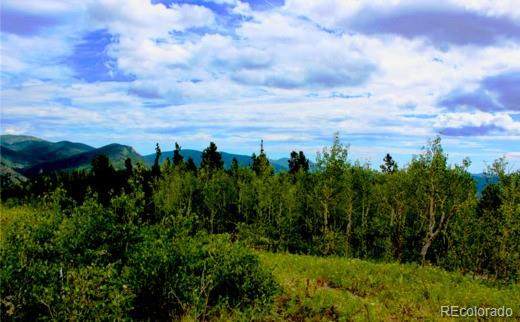 002 Mosquito Creek Road - Photo 1