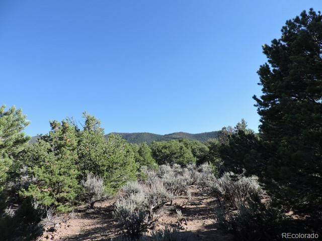 2012 San Miguel Road - Photo 1