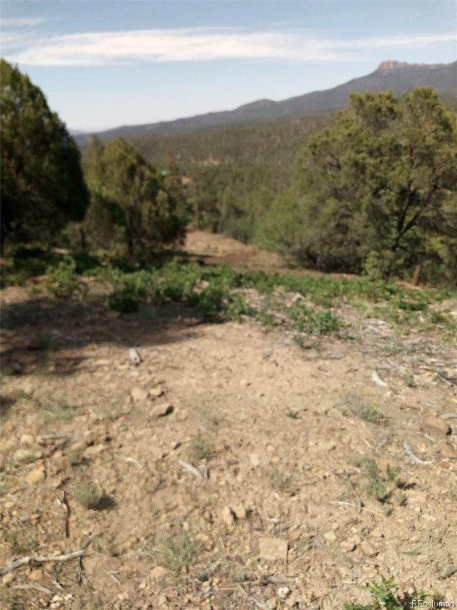 33136 Old Mission Road - Photo 1