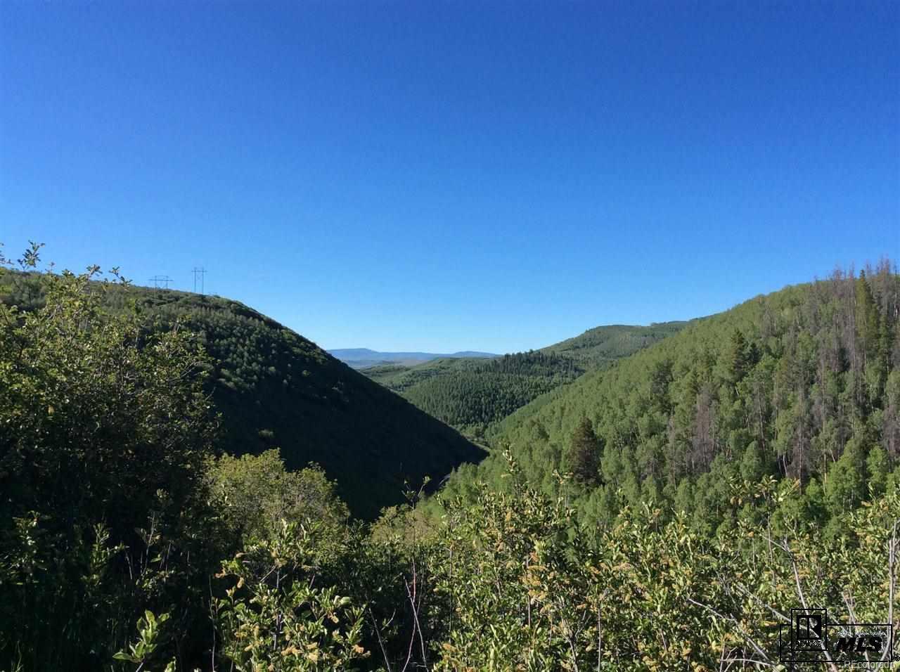 24425 Lone Tooth Trail - Photo 1