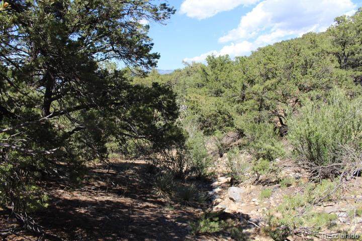 5703 Pinon Ridge (Aka Pineridge) Trail - Photo 1