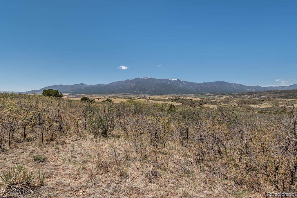 251 Senic Lane - Photo 1
