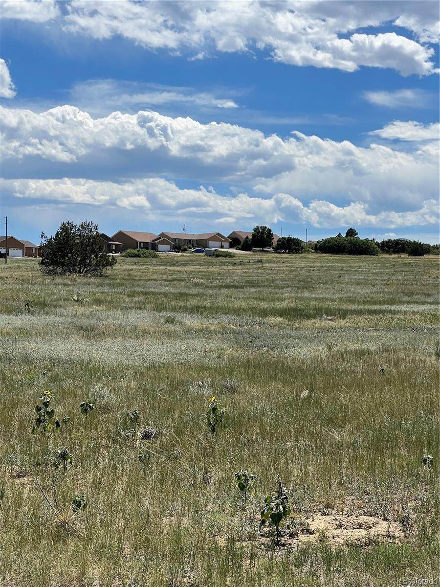 Lot 453 Las Animas Way - Photo 1